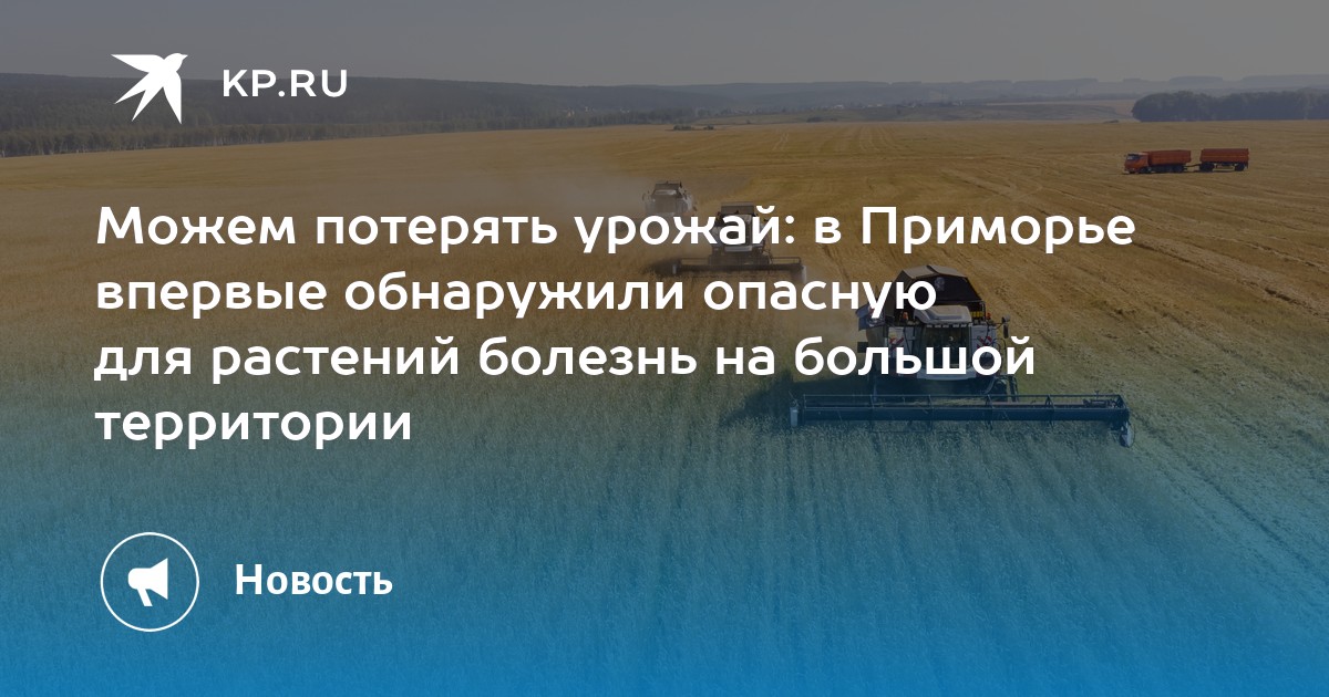 Краем он может быть. Краем он может быть