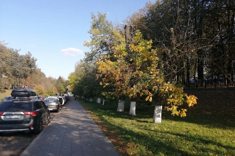 В понедельник приближающийся с юга циклон принесет похолодание.