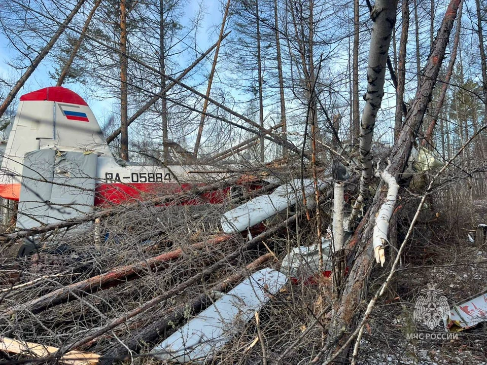 Причиной аварийной посадки самолета Ан-3 в Якутии стала потеря тяги двигателя Фото: ГУ МЧС России по Республики Саха (Якутия)