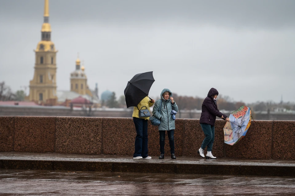 В воскресенье ближе к вечеру в Петербурге пройдут дожди.