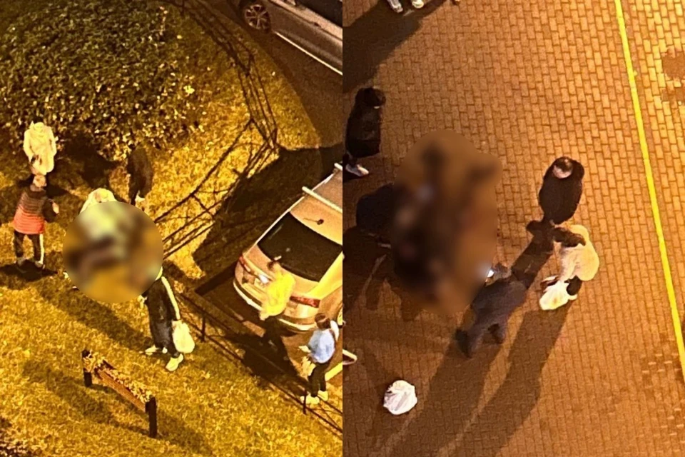 Массовая драка в Янино закончилась госпитализацией четырех человек с ножевыми ранениями. Фото: t.me/Megapolisonline