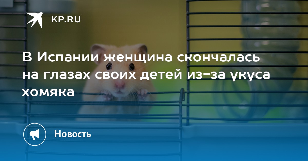 Женщина воспитывает детей. Стильная женщина с ребенком. Мама заботится о ребенке. Девочка готовит. Ребенок собирается в школу.