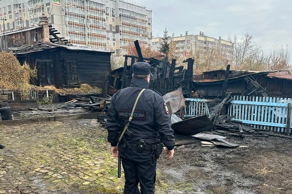 В Красноярске после поджога строения в Николаевке заведено уголовное дело. Фото: МВД