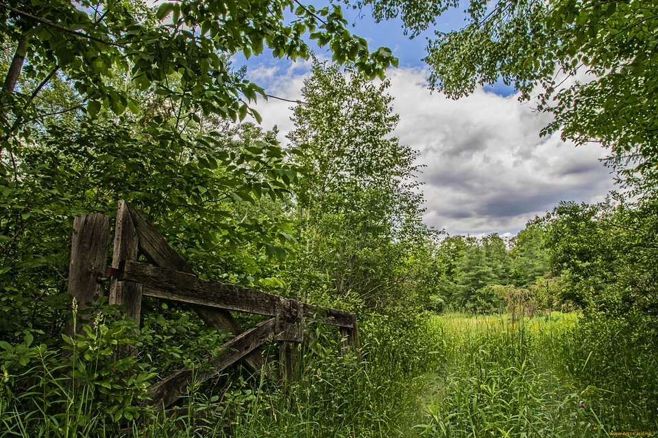 Фото: kosoblduma.ru