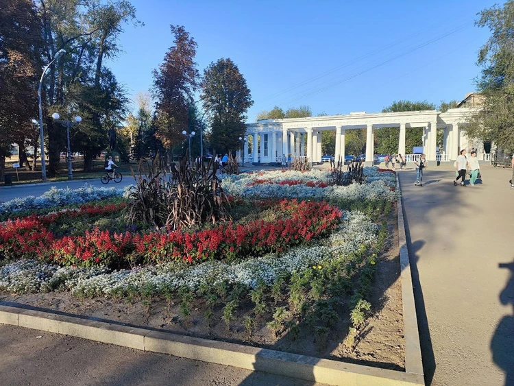 Лабиринт любви: В луганском парке создают уникальный уголок