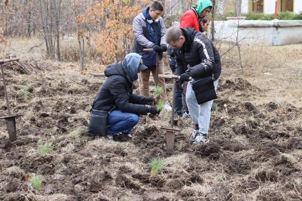 Фото: Администрация городского округа Стаханов