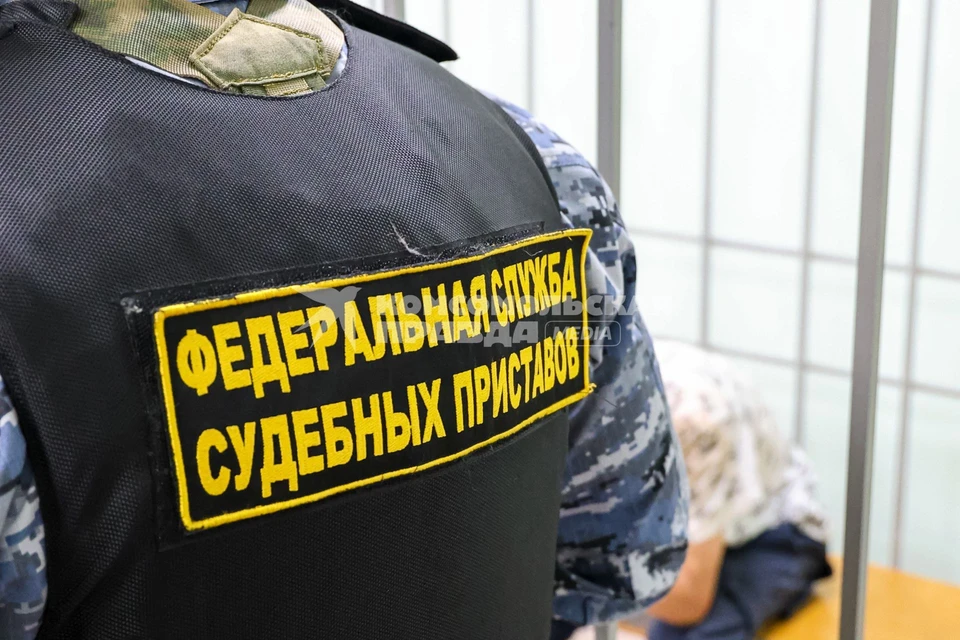 ФССП: За 2024 год из России выдворили более 60 тысяч нелегалов
