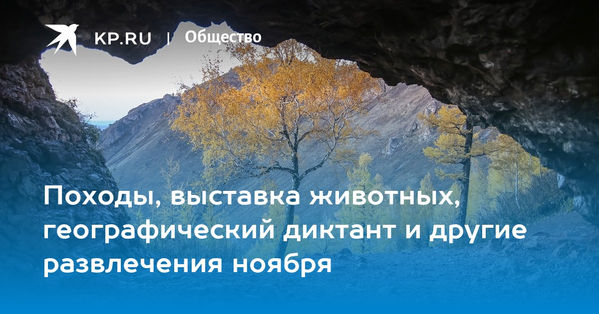 Походы, выставка животных, географический диктант и другие развлечения ноября