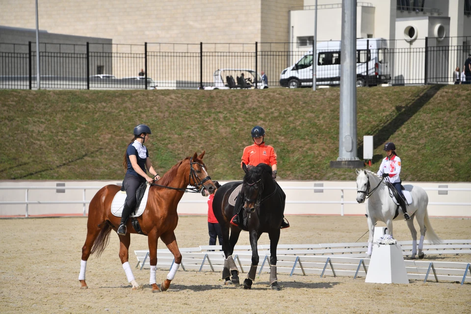 Прокуратура организовала проверку на основе информации из соцсетей
