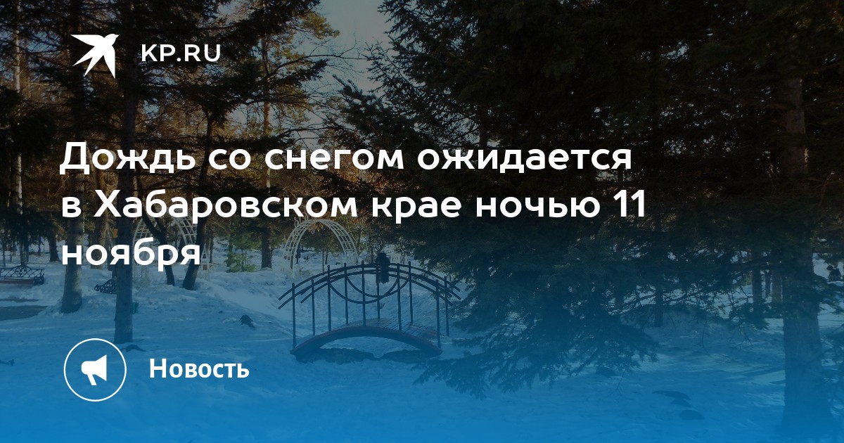 Снежный ноябрь выдался в Хабаровске. Первые снежинки опустились на землю еще