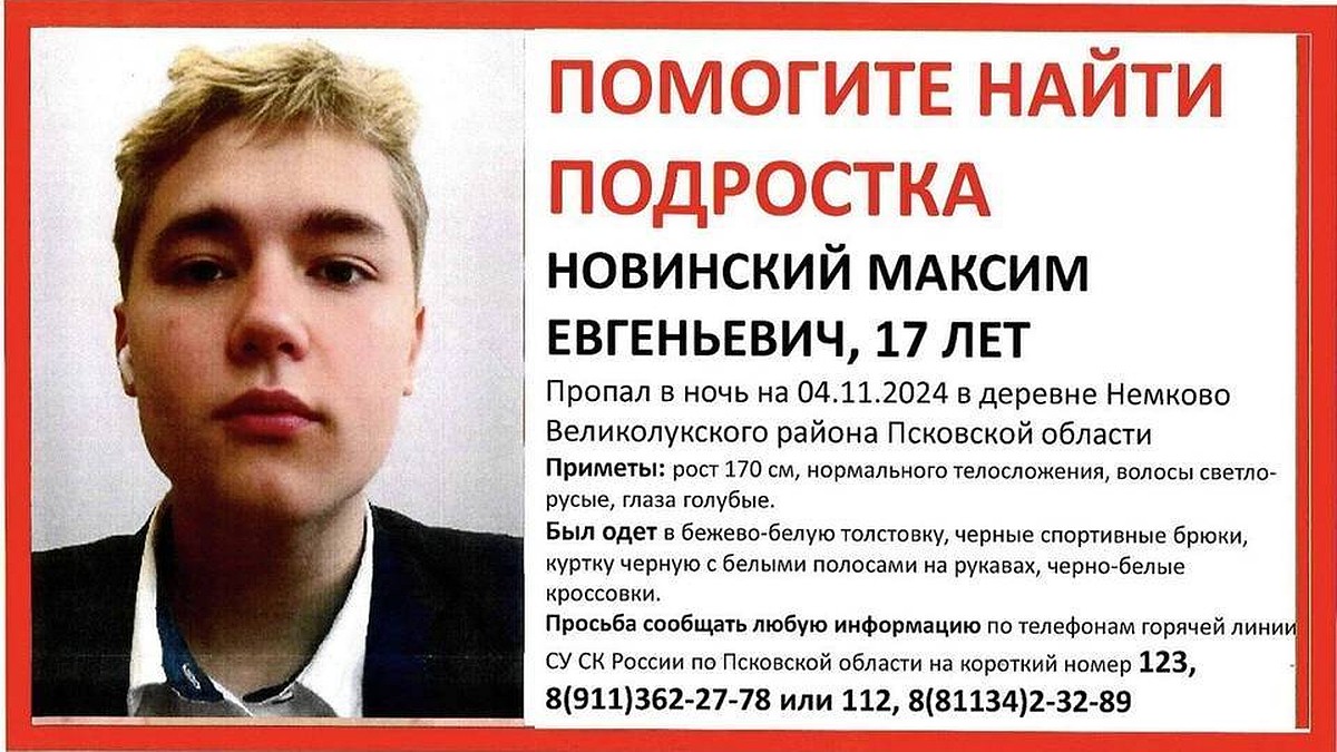 Все зацепки переданы в полицию»: Что известно о пропаже 17-летнего  подростка после тусовки на даче под Великими Луками - KP.RU