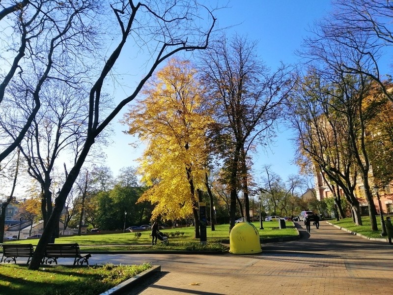 Завтра нас ожидает солнечный день. Фото: соцсети