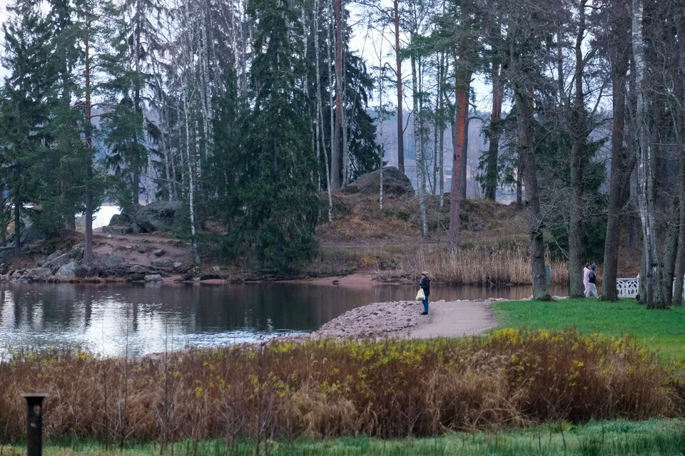 Музей-заповедник Монрепо временно закроют из-за непогоды.