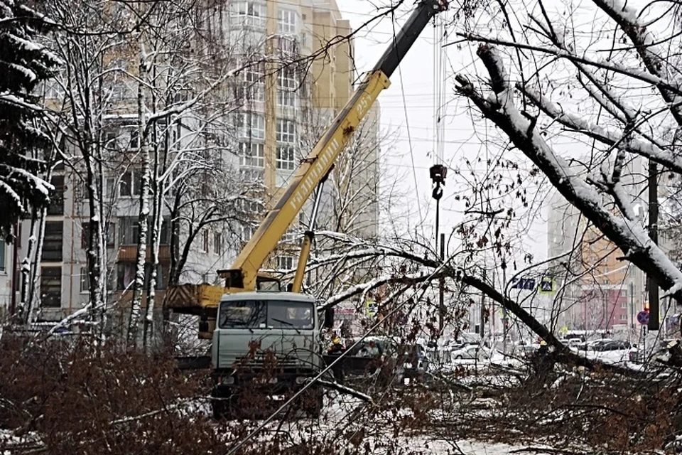 Фото: пресс-служба Брянской городской администрации.