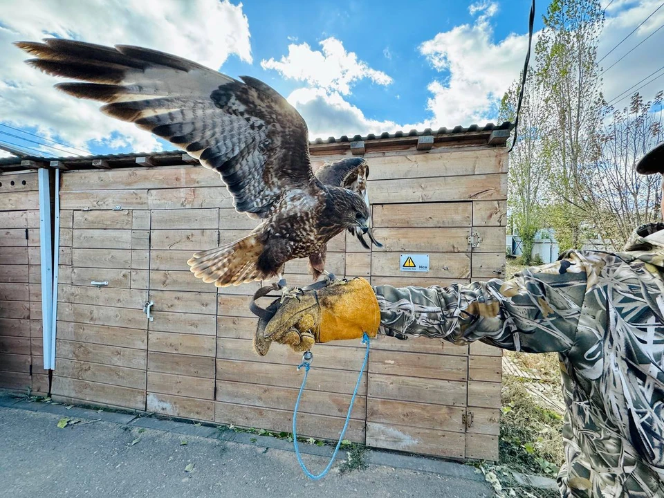 Фото: АО Ситиматик