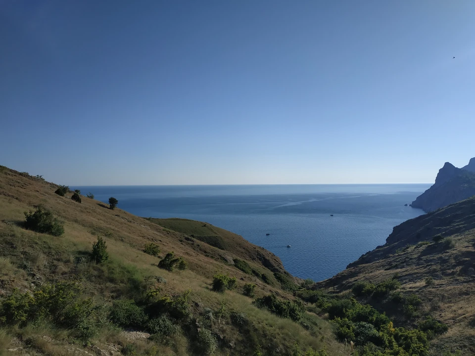 ПВО сбила пять БПЛА над Белгородской областью и Черным морем.