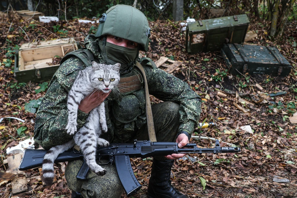 Сапер сводного отряда разминирования МЧС России во время обследования и обезвреживания жилых участков Льговского района. Фото: Михаил Климентьев/ТАСС.