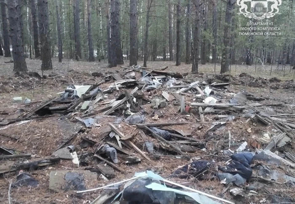 Фото: департамент лесного комплекса Тюменской области.