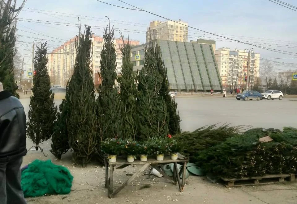 Фото: администрация Челябинска