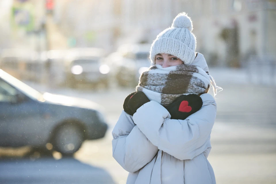 Москвичей предупредили о холодной и ветряной погоде в предстоящие выходные