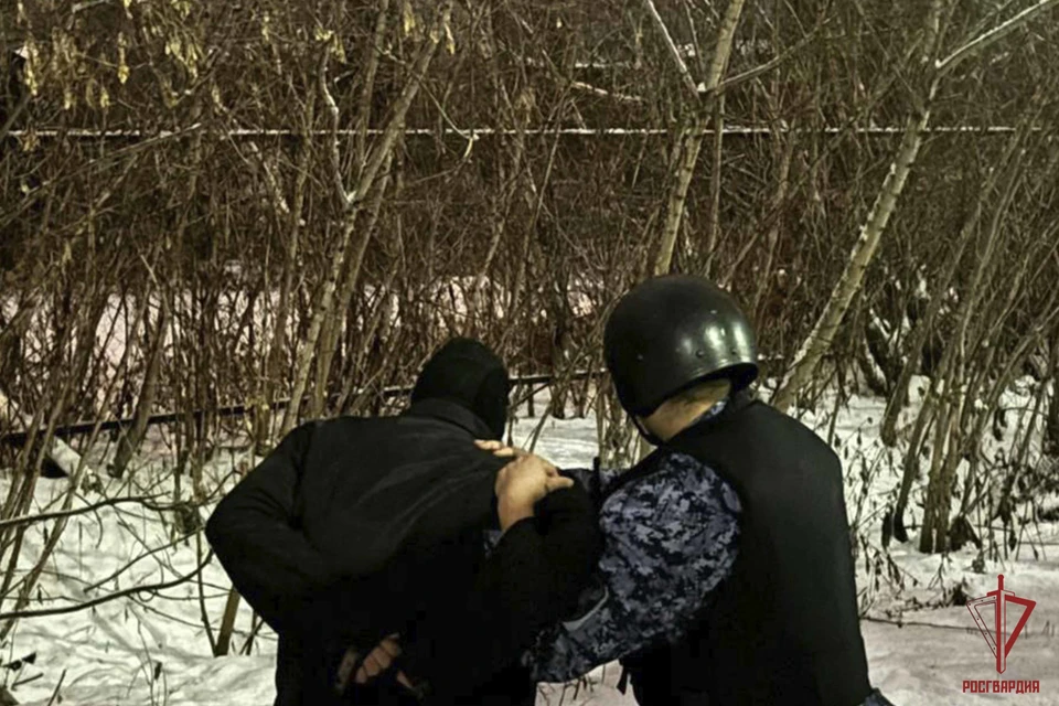 В Туле пьяный мужчина проник в дом местной жительницы и угрожал ей ножом