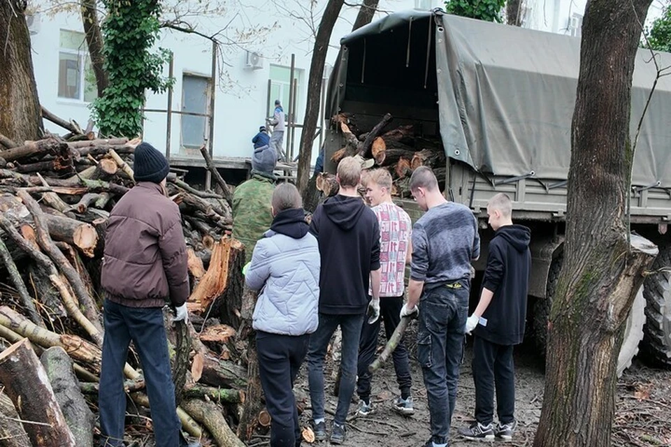 Дрова из Крыма, в том числе поваленные бурей в местных парках, становятся топливом для солдат на Днепре. Фото: Народный фронт Крыма