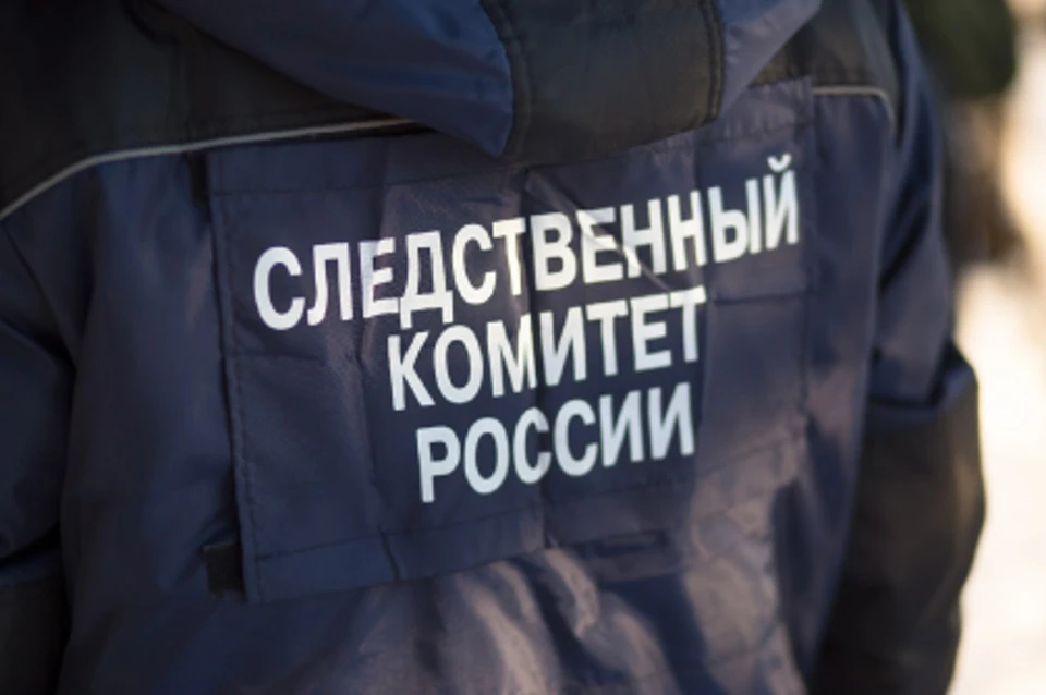 Идет следствие. Фото: СК РФ