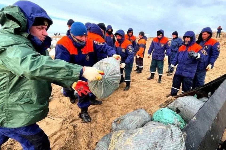 В Крыму вывезли 226 тонн загрязненного мазутом песка после крушения танкеров. Фото: МЧС России