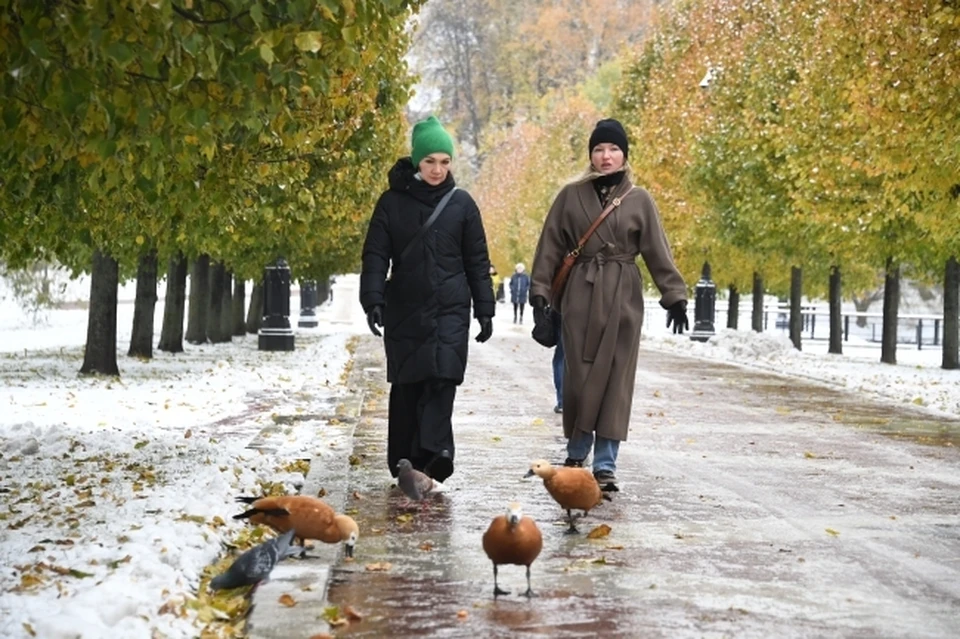 Количество гостей города зафиксировали гуляющими по Курортному парку и озеру «30’Ка»