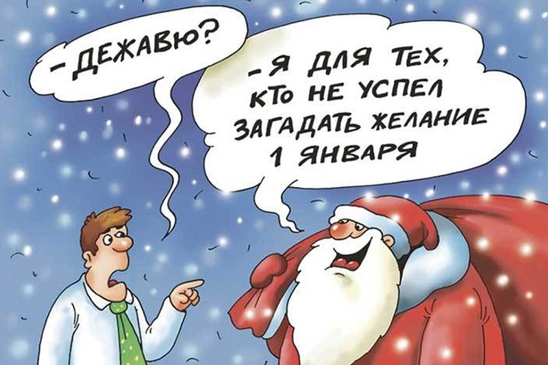 Фото: Екатерина МАРТИНОВИЧ (kp.ru)