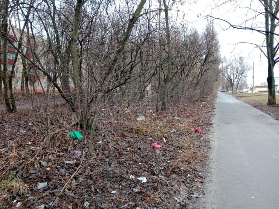 В регион преждевременно пришла весна