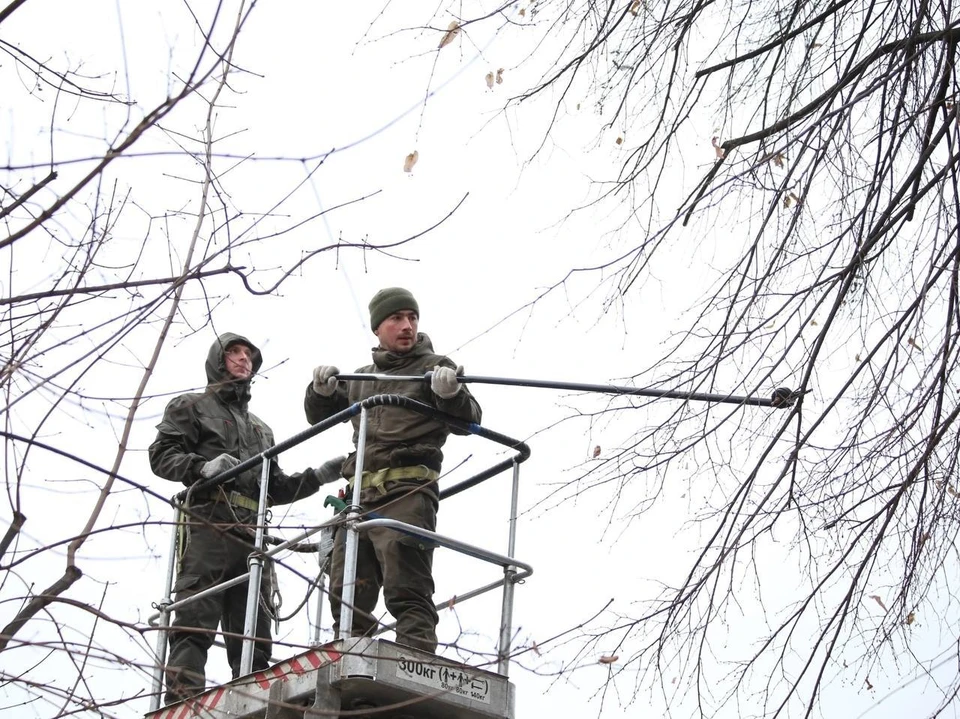 Фото городского управления экологии