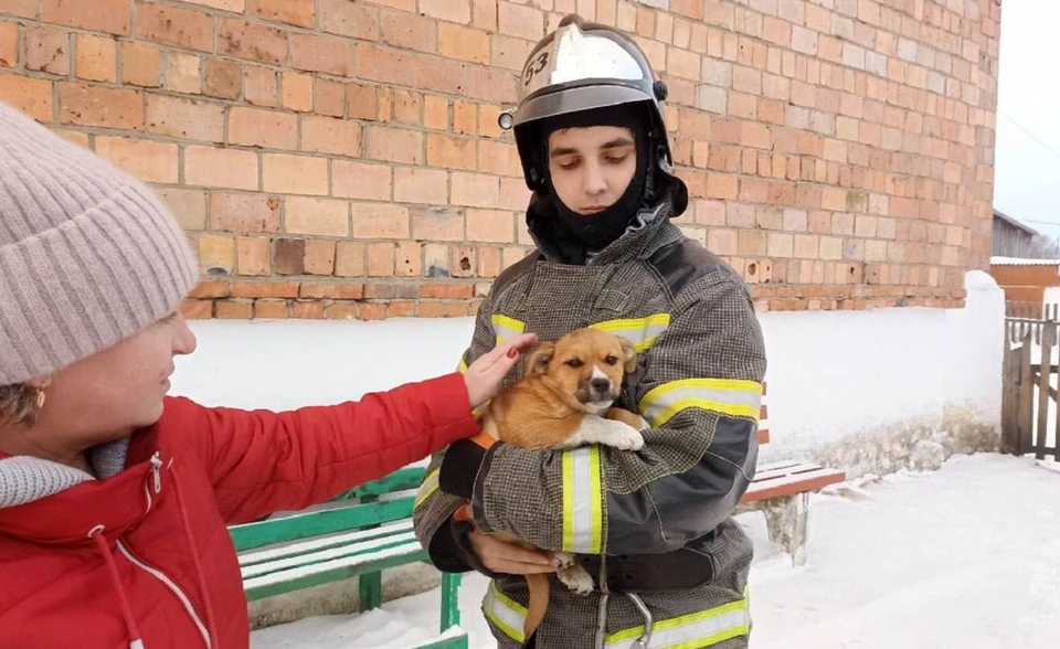 В Красноярском крае спасли провалившегося в вентиляцию щенка. Фото: МЧС России