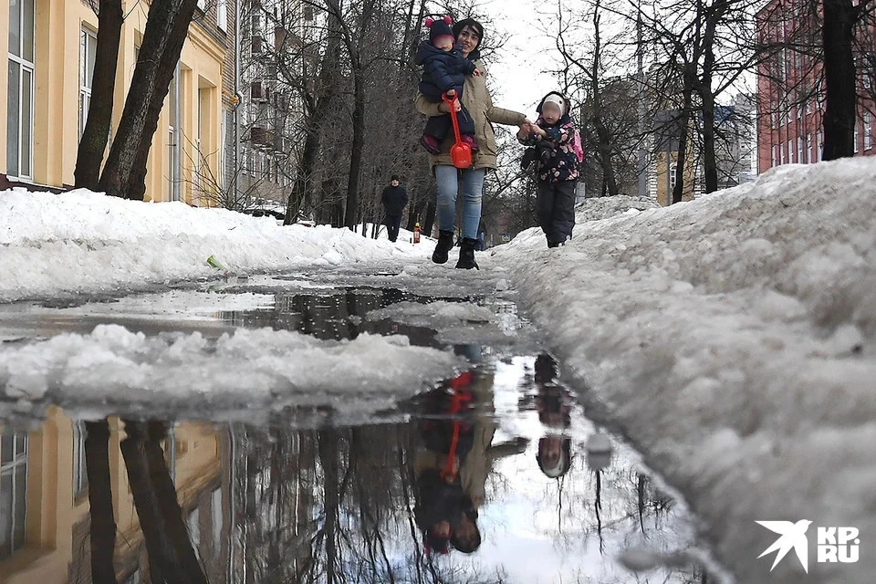 Зимняя погода удивляет теплом.