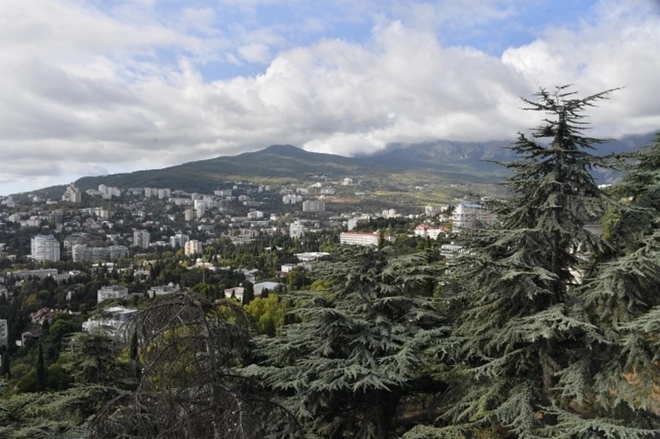 Зима в Крыму теплей обычного.