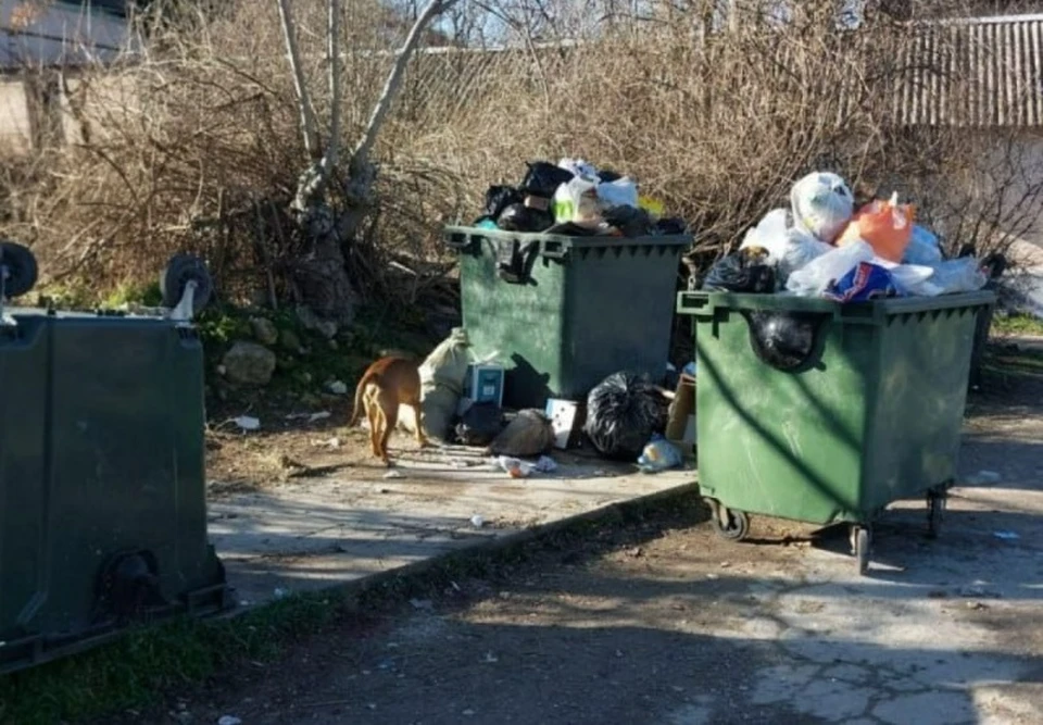 Фото: Народный фронт