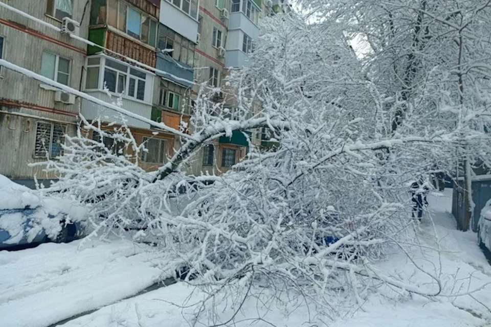 Единственная страховка, которая покроет расходы в такой ситуации, является КАСКО. Фото: Ковалева Мария.