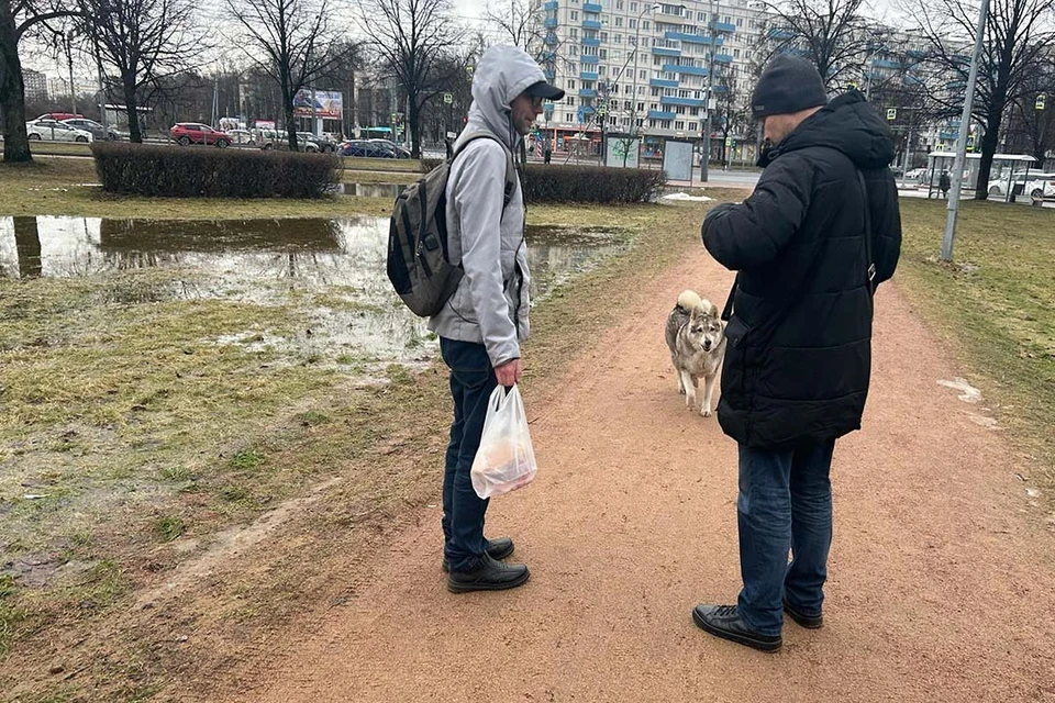 Нарушителям грозит штраф до 5000 рублей. Фото: t.me/spb_zakon