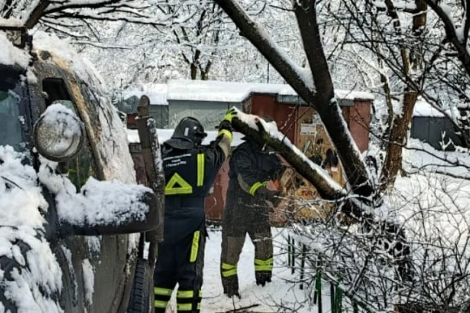 Спасатели распилили ствол и оттащили в сторону. Фото: телеграм-канал управления по делам ГО и ЧС Ростова-на-Дону