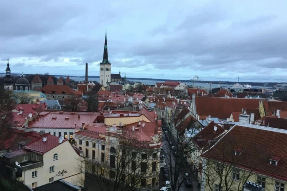 В Эстонии электростанция вышла из строя перед отключением от энергосистемы РФ