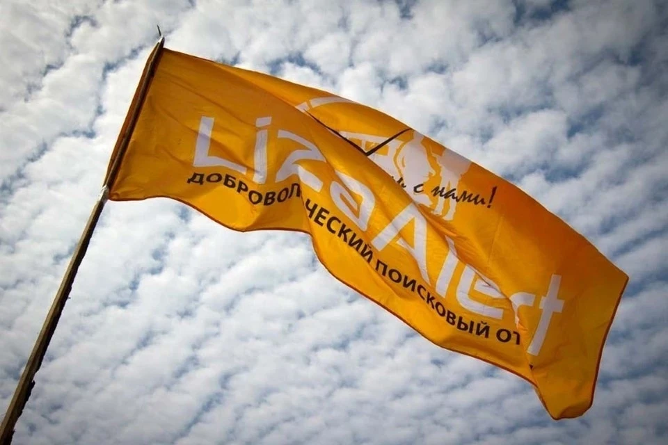 Фото: "Лиза Алерт"