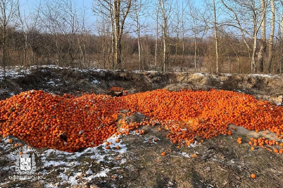 Милиция ищет владельца сотни килограммов испорченных мандаринов. Фото: телеграм-канал «Гомельщина официально».