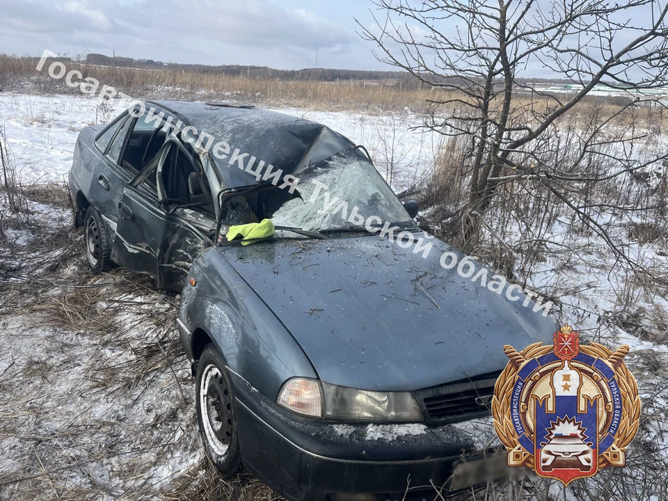 В Ленинском районе Тулы автоледи на машине Daewoo въехала в дерево.