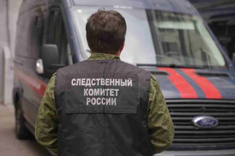 Глава Следкома запросил доклад по делу о нападения собаки на юношу в Шелехове.
