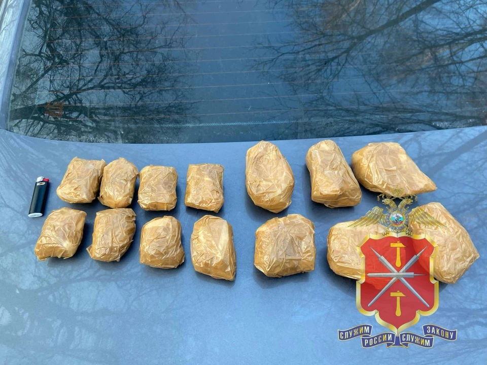 В Туле задержали 22-летнюю курьера с крупной партией наркотиков.