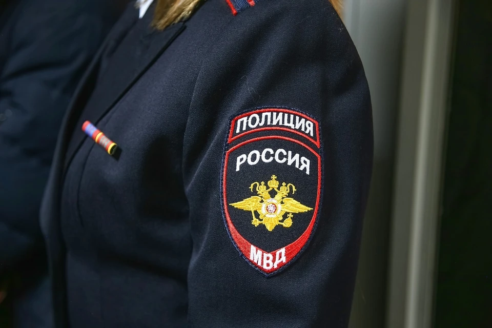 Серийному вору из Красноярска грозит до шести лет колонии