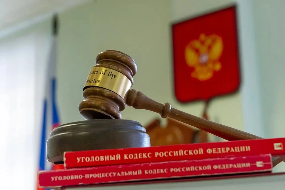 Жительницу Петербурга оштрафовали за сломанную в порыве эмоций дверь в зале суда.