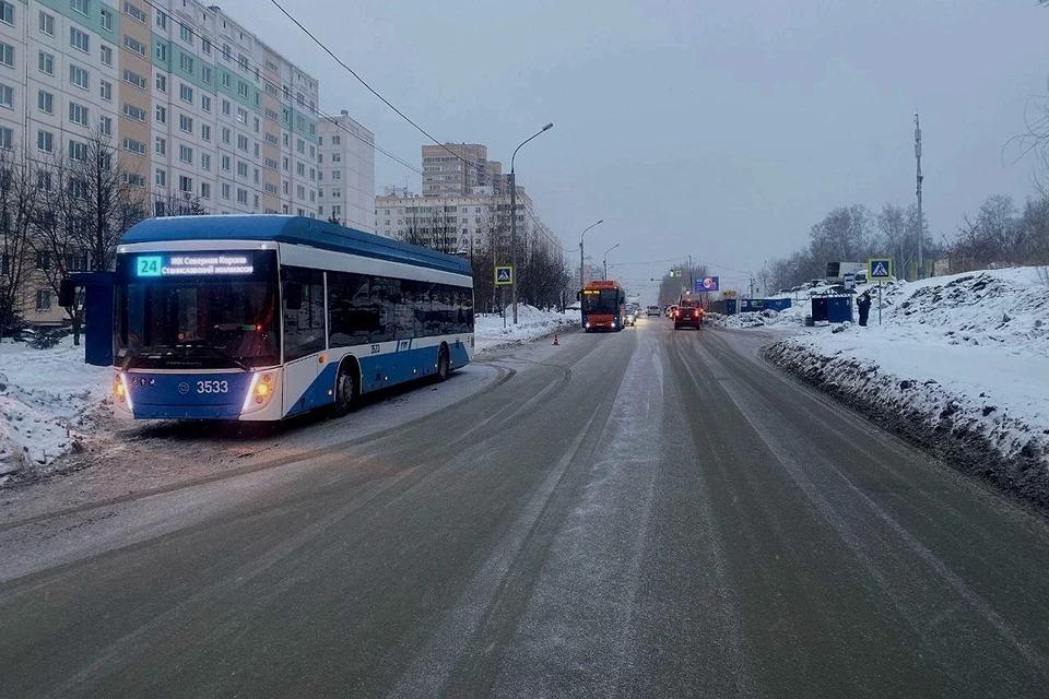 В Новосибирске водитель троллейбуса сбил 8-летнюю девочку на переходе. Фото: Госавтоинспекция Новосибирской области