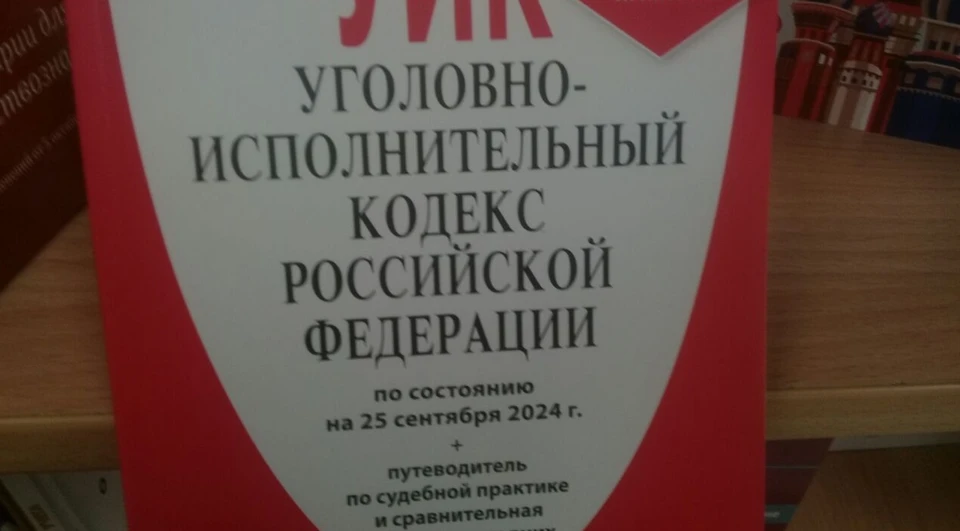 В соответствии с ч.1 ст.158 УК РФ (Кража) подозреваемой грозит до двух лет тюрьмы.