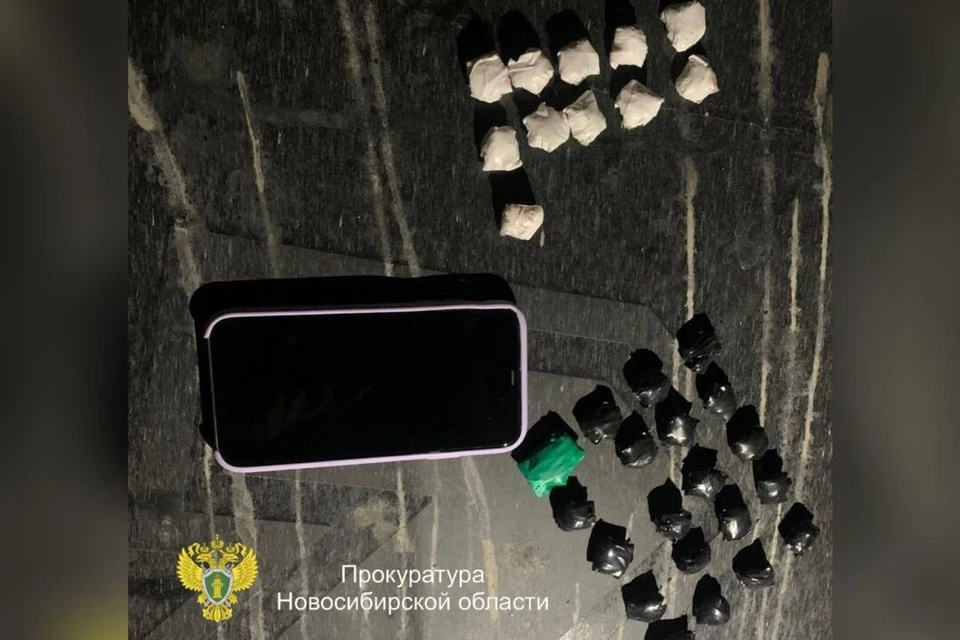 Жительницу Новосибирской области обвиняют в попытке продать 50 грамм наркотиков. ФОТО: прокуратура Новосибирской области